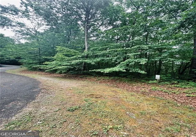 Homes for sale in Ellijay, GA | 0 Highpointe Trail #194, Ellijay, GA 30536 | MLS# 10781440