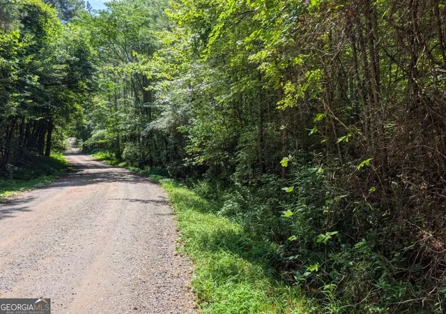 27th image of Lt 4&5 Belltown Rd #4 & 5, Copperhill, TN 37317 | MLS# 10828607