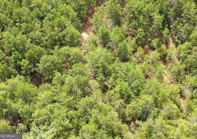 Photo 4 of Land for sale at Lt 4&5 Belltown Rd #4 & 5, Copperhill, TN 37317 | MLS# 10828607 | Listing updated on 2026-09-02