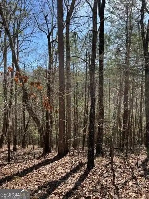 Photo 1 of Land for sale at Lt 4 Hunters Ridge, Ellijay, GA 30540 | MLS# 10855967 | Listing updated on 2026-10-14
