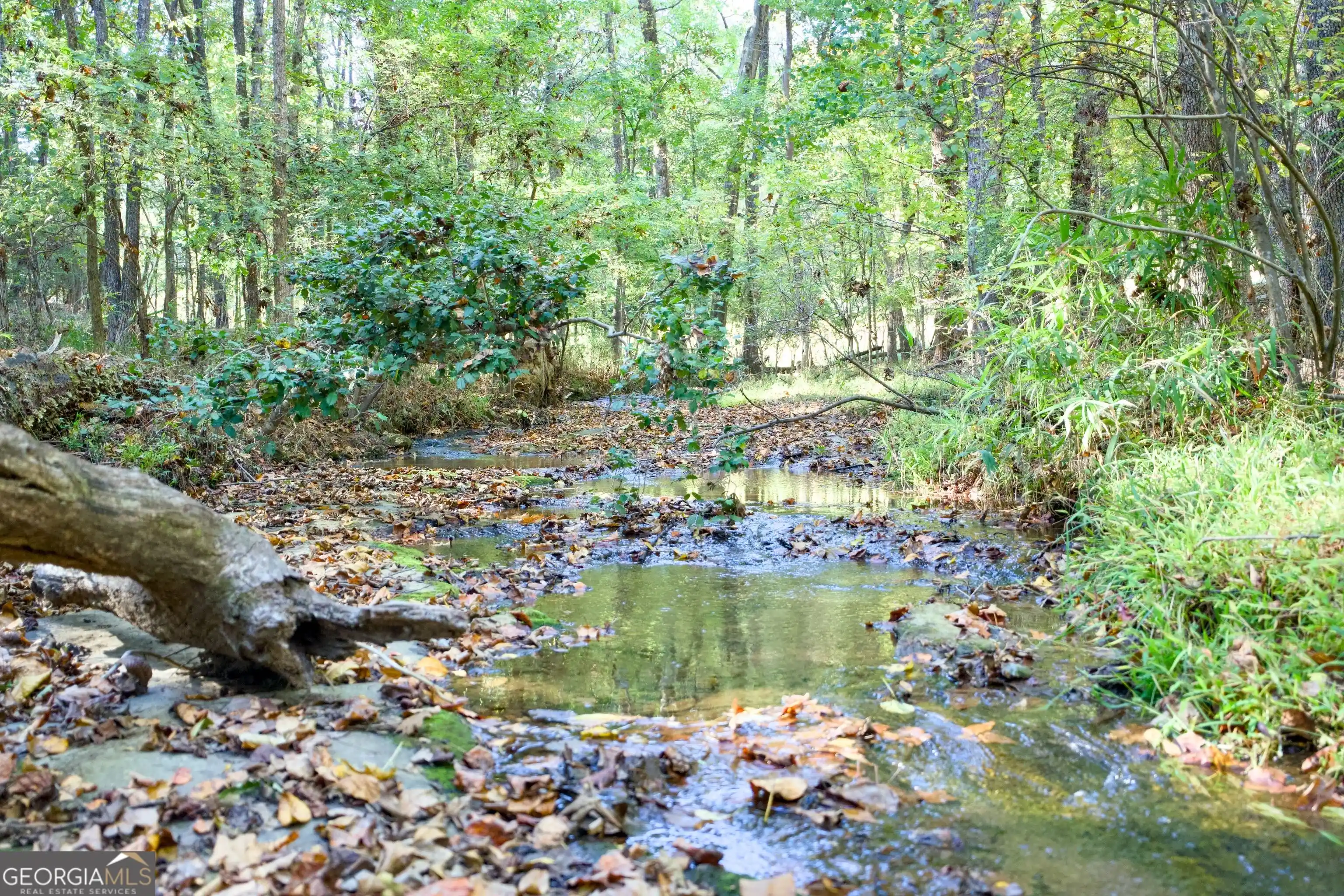 Photo 1 of Land for sale at 39 Acres New Hvn Church Rd, Danielsville, GA 30633 | MLS# 10882310 | Listing updated on 2026-10-30