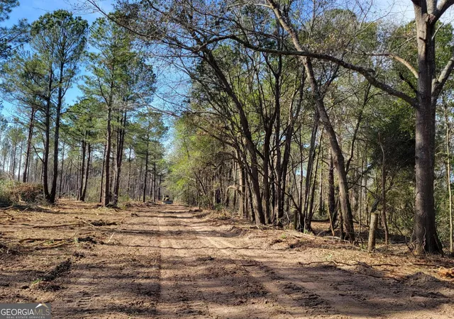 1st image of 4625 Storey Mill Rd, Hephzibah, GA 30815 | MLS# 10740829