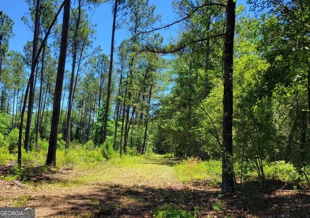 25th image of 4625 Storey Mill Rd, Hephzibah, GA 30815 | MLS# 10740829