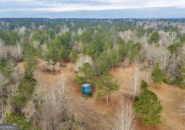 1st image of 241 Foskey Cemetary Rd, Adrian, GA 31002 | MLS# 10817029