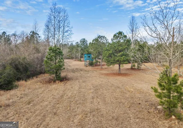 2nd image of 241 Foskey Cemetary Rd, Adrian, GA 31002 | MLS# 10817029