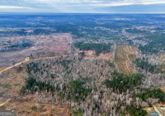 3rd image of 241 Foskey Cemetary Rd, Adrian, GA 31002 | MLS# 10817029