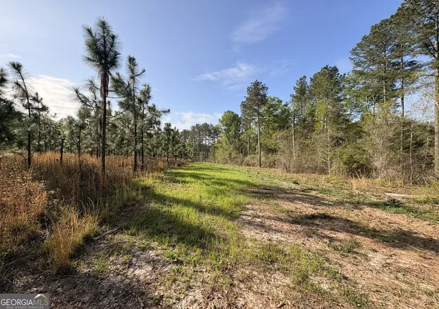 Homes for sale in Sylvania, GA | 002 Old Poor Robin Tract 2, Sylvania, GA 30467 | MLS# 10738638