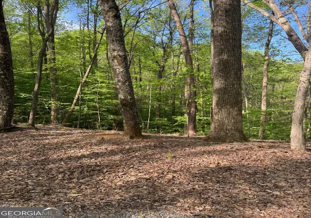 Photo 2 of Land for sale at 0 Mountain View Ct, Ellijay, GA 30536 | MLS# 10825054 | Listing updated on 2026-08-27