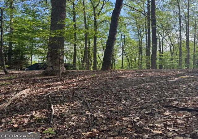 Photo 6 of Land for sale at 0 Mountain View Ct, Ellijay, GA 30536 | MLS# 10825054 | Listing updated on 2026-08-27