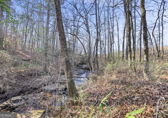 Photo 1 of Land for sale at 522 Ac Franklin Pkwy, Franklin, GA 30217 | MLS# 10834107 | Listing updated on 2026-09-10