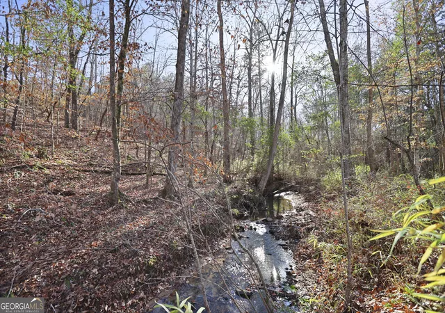 Photo 2 of Land for sale at 522 Ac Franklin Pkwy, Franklin, GA 30217 | MLS# 10834107 | Listing updated on 2026-09-10