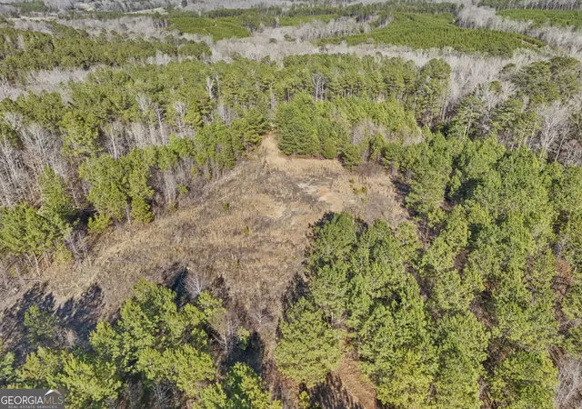 Photo 3 of Land for sale at 522 Ac Franklin Pkwy, Franklin, GA 30217 | MLS# 10834107 | Listing updated on 2026-09-10
