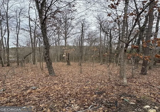 2nd image of 0 Polk Ave, Dallas, GA 30132 | MLS# 10822681