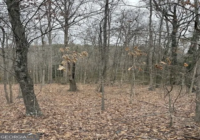 3rd image of 0 Polk Ave, Dallas, GA 30132 | MLS# 10822681