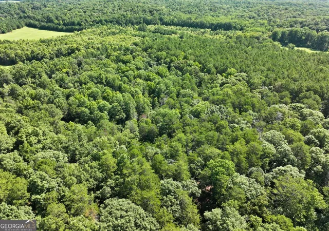 Photo 2 of Land for sale at 525 Etula Dr, Dahlonega, GA 30533 | MLS# 10803016 | Listing updated on 2026-07-31