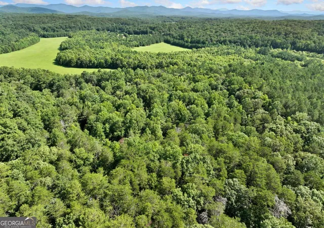 Photo 4 of Land for sale at 525 Etula Dr, Dahlonega, GA 30533 | MLS# 10803016 | Listing updated on 2026-07-31