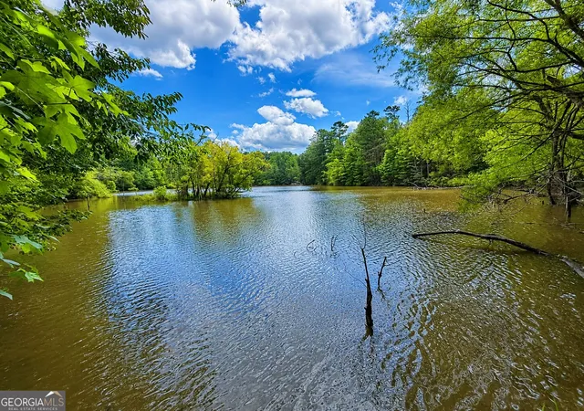 Photo 1 of Sale Pending at 285 Acres River Rd, Fortson, GA 31808 | MLS# 10824699 | Listing updated on 2026-08-12