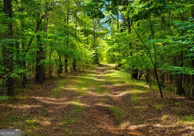Photo 3 of Sale Pending at 285 Acres River Rd, Fortson, GA 31808 | MLS# 10824699 | Listing updated on 2026-08-12