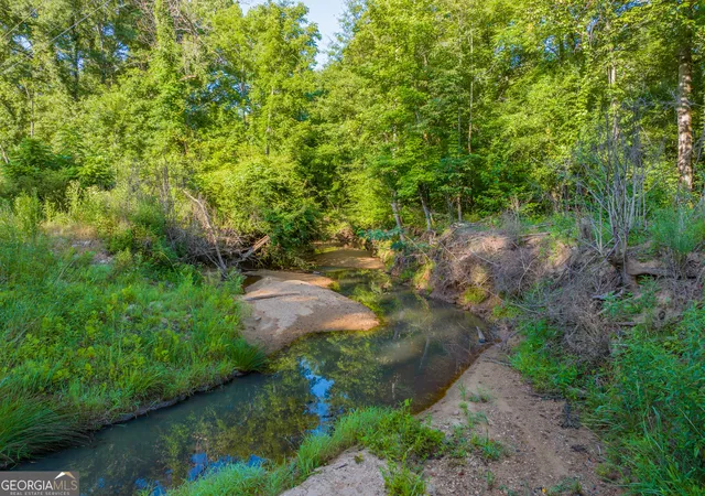 Photo 4 of Sale Pending at 285 Acres River Rd, Fortson, GA 31808 | MLS# 10824699 | Listing updated on 2026-08-12