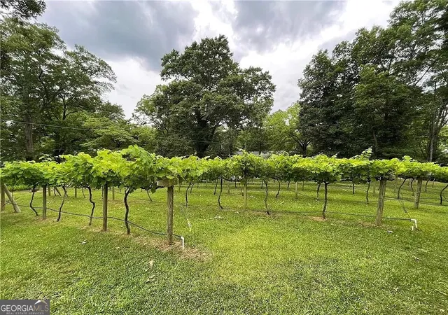 52nd image of 113 W Gordon St, Villa Rica, GA 30180 | MLS# 10701375