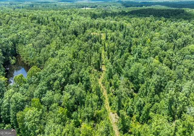 33rd image of 432 Melson, Cave Spring, GA 30124 | MLS# 10791332