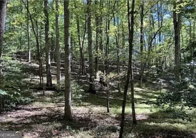 Photo 1 of Land for sale at 0 Goldmine Dr, Ellijay, GA 30536 | MLS# 10879619 | Listing updated on 2026-10-30