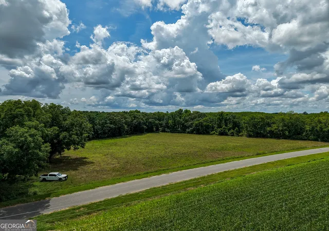 25th image of 1 Haynes Rd, Edison, GA 39846 | MLS# 10788556