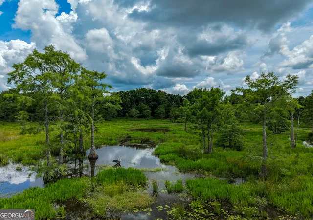 3rd image of 1 Haynes Rd, Edison, GA 39846 | MLS# 10788556