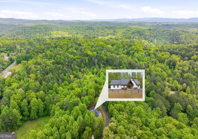 48th image of 137 Thornwood Ln, Ellijay, GA 30540 | MLS# 10754822
