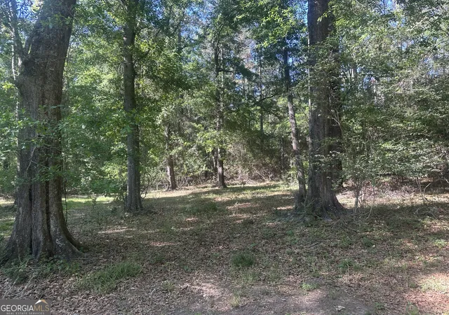 Homes for sale in Sylvania, GA | 0 Burtons Ferry Hwy, Sylvania, GA 30467 | MLS# 10737430