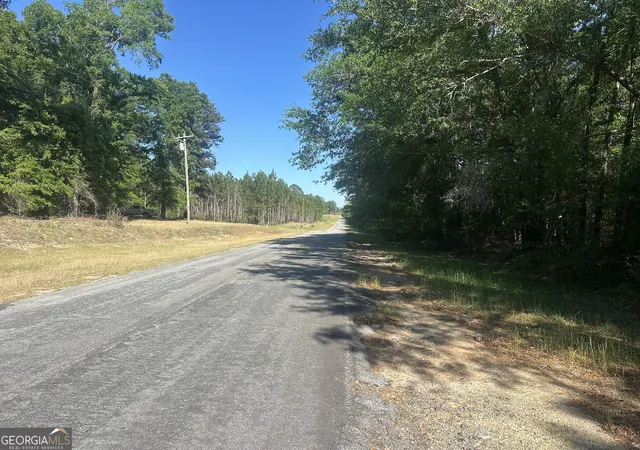 Homes for sale in Sylvania, GA | 0 Burtons Ferry Hwy, Sylvania, GA 30467 | MLS# 10737430