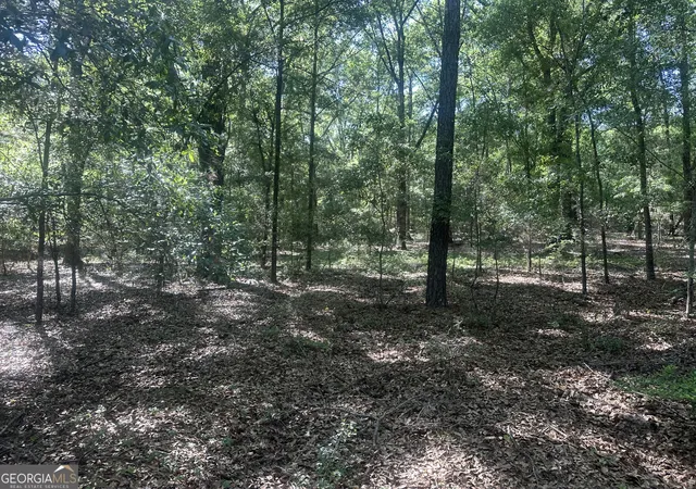 Homes for sale in Sylvania, GA | 0 Burtons Ferry Hwy, Sylvania, GA 30467 | MLS# 10737430