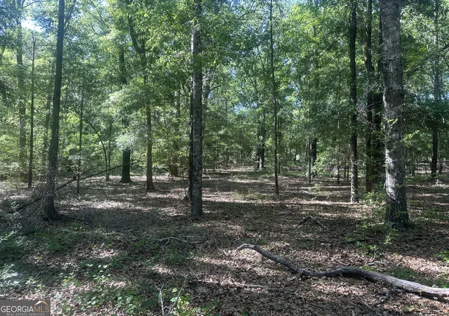 Homes for sale in Sylvania, GA | 0 Burtons Ferry Hwy, Sylvania, GA 30467 | MLS# 10737430