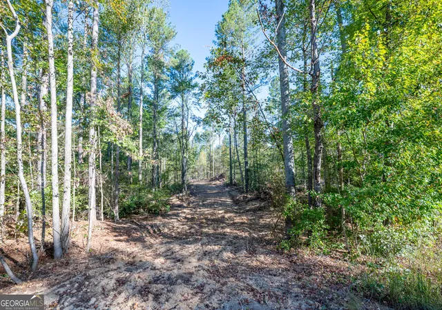Photo 2 of Land for sale at 3859 Highway 140 Ne, Rydal, GA 30171 | MLS# 10632088 | Listing updated on 2025-11-10