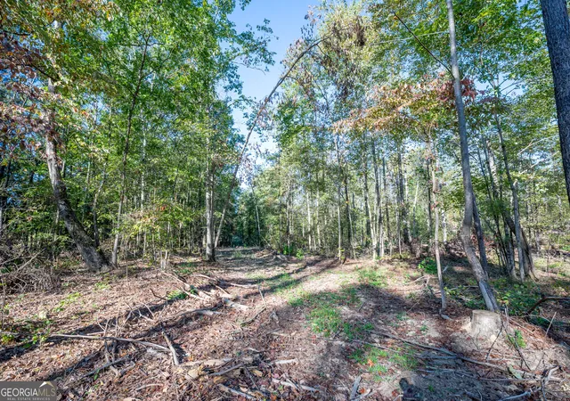Photo 3 of Land for sale at 3859 Highway 140 Ne, Rydal, GA 30171 | MLS# 10632088 | Listing updated on 2025-11-10