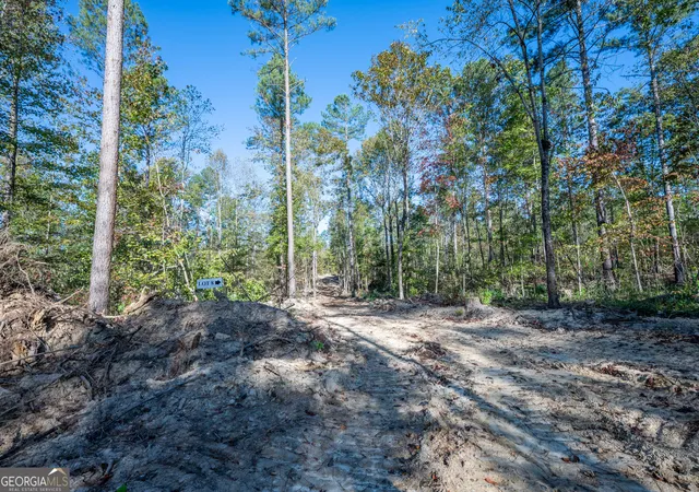 Photo 3 of Land for sale at 3859 Highway 140 NE, Rydal, GA 30171 | MLS# 10632088 | Listing updated on 2025-11-10