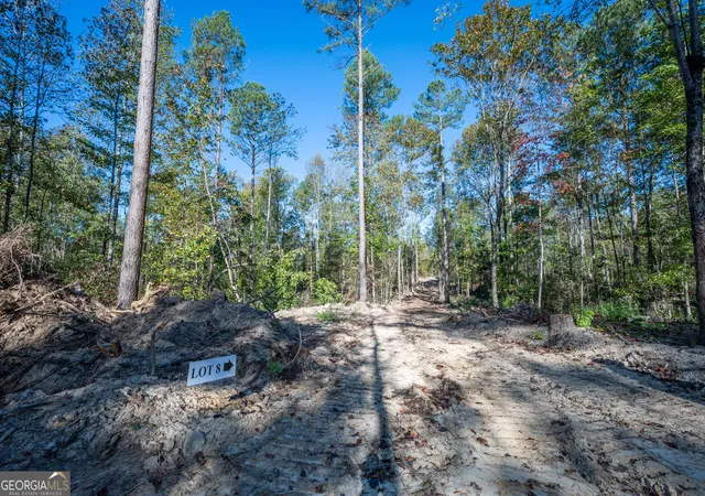 Photo 4 of Land for sale at 3859 Highway 140 NE, Rydal, GA 30171 | MLS# 10632088 | Listing updated on 2025-11-10