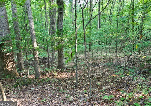 Photo 3 of Land for sale at 0 Glenell Dr, Woodstock, GA 30189 | MLS# 10798988 | Listing updated on 2026-08-06