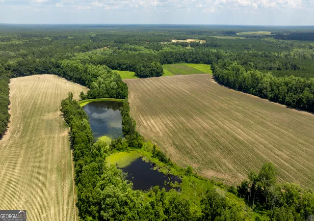 2nd image of 0 Sunbury Rd, Claxton, GA 30417 | MLS# 10817725