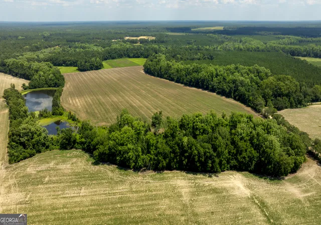 36th image of 0 Sunbury Rd, Claxton, GA 30417 | MLS# 10817725