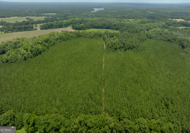 Photo 3 of Land for sale at 0 Sunbury Rd, Claxton, GA 30417 | MLS# 10817725 | Listing updated on 2026-08-17