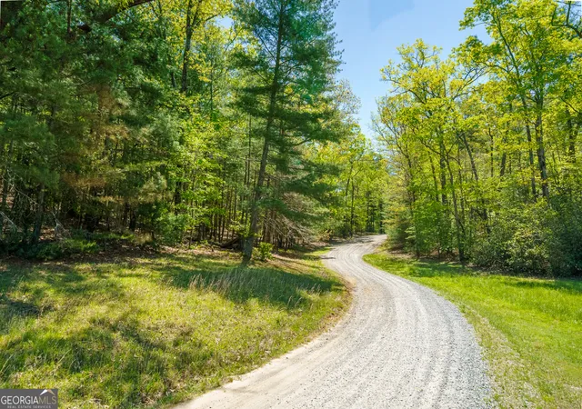 1st image of Lot 35 Spring Camp Rd, Ellijay, GA 30536 | MLS# 10754184