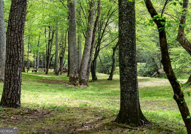 33rd image of Lot 35 Spring Camp Rd, Ellijay, GA 30536 | MLS# 10754184