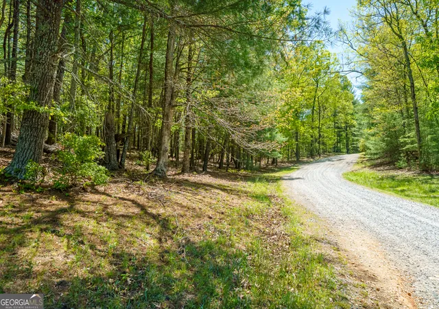 Photo 3 of Land for sale at Lot 35 Spring Camp Rd, Ellijay, GA 30536 | MLS# 10754184 | Listing updated on 2026-05-14