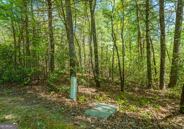 Photo 4 of Land for sale at Lot 35 Spring Camp Rd, Ellijay, GA 30536 | MLS# 10754184 | Listing updated on 2026-05-14