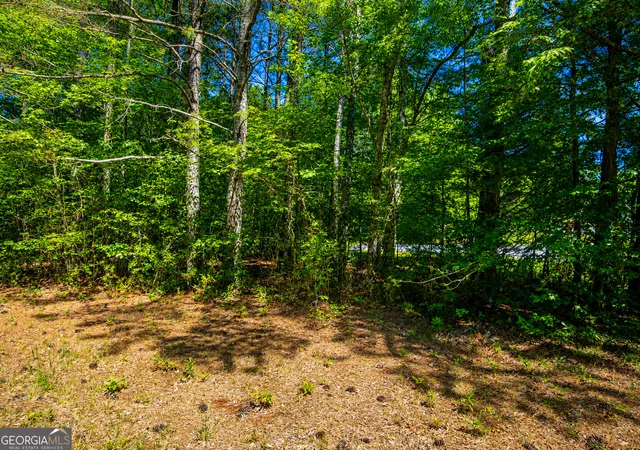 Homes for sale in Lafayette, GA | 1 Acre Stanfield Dr, Lafayette, GA 30728 | MLS# 10793855