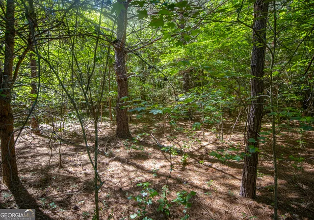 Homes for sale in Lafayette, GA | 1 Acre Stanfield Dr, Lafayette, GA 30728 | MLS# 10793855
