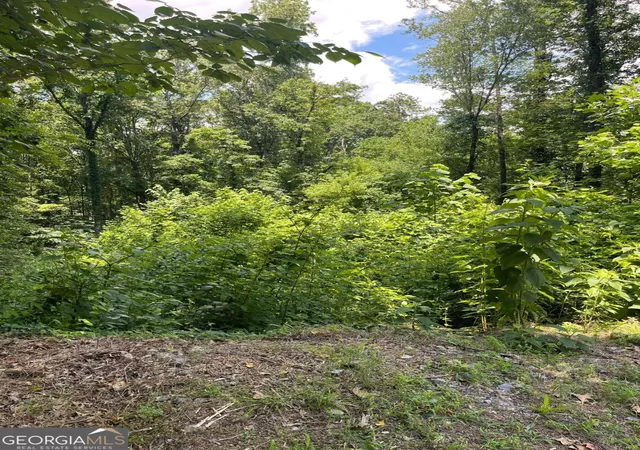 Photo 1 of Land for sale at 609 Ann Court, Woodstock, GA 30188 | MLS# 10545433 | Listing updated on 2026-06-18