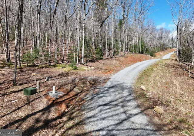 Homes for sale in Blue Ridge, GA | Lot 15 Native Trl, Blue Ridge, GA 30513 | MLS# 10713763
