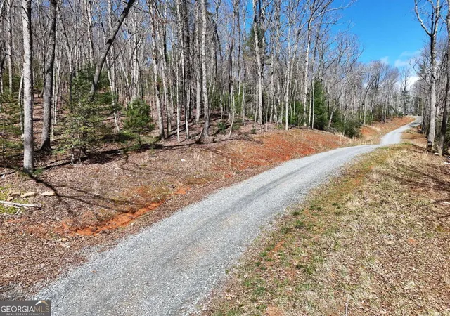 Homes for sale in Blue Ridge, GA | Lot 15 Native Trl, Blue Ridge, GA 30513 | MLS# 10713763